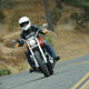 Illustration for article titled The Idiots Guide To All Eight New Harley-Davidson Cruisers